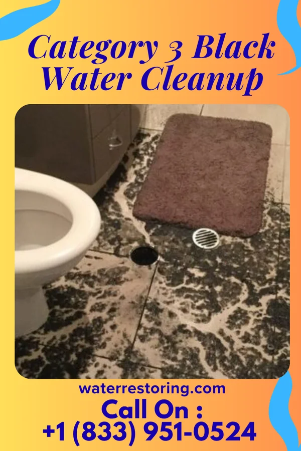 Category 3 Black Water Cleanup in Bethel, DE