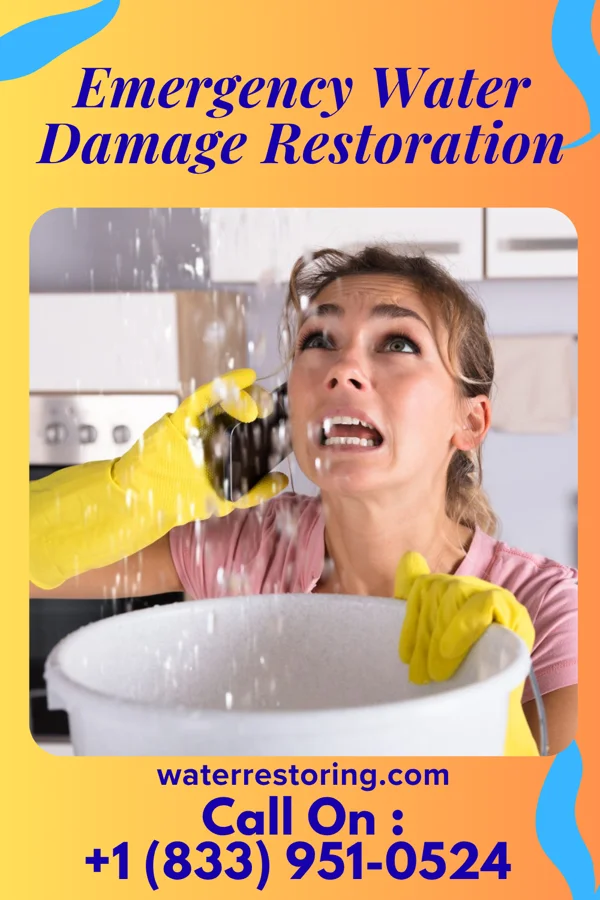 Emergency Water Damage Restoration in Bethel, DE