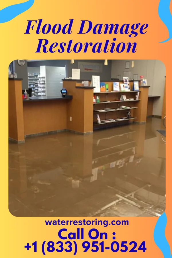 Flood Damage Restoration in Bethel, DE
