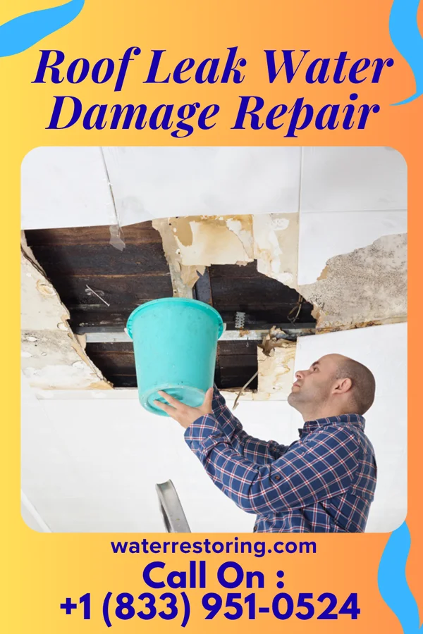 Roof Leak Water Damage Repair in Bethel, DE