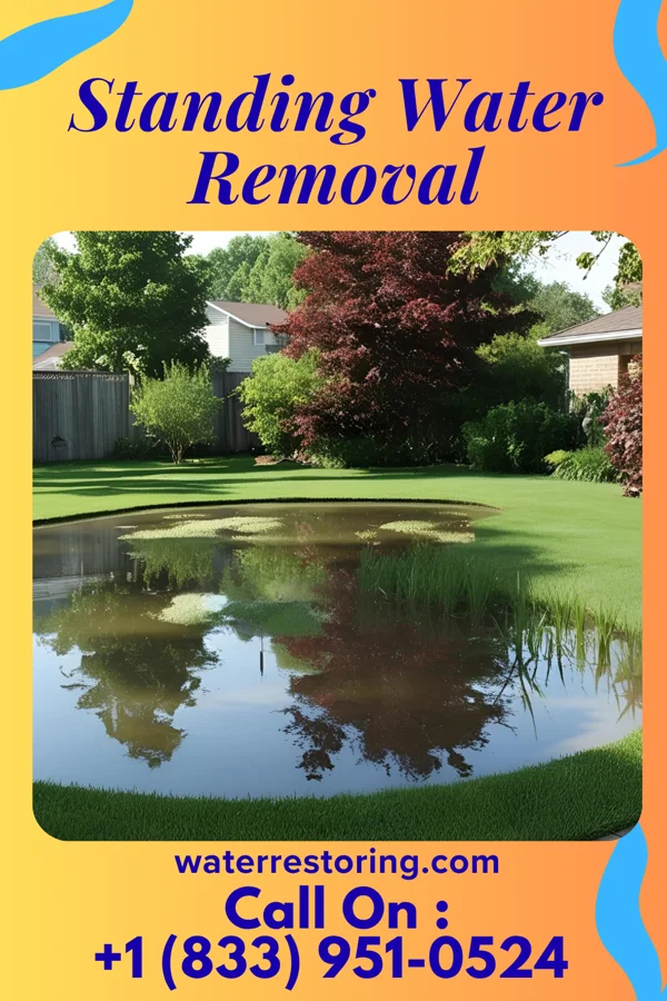 Standing Water Removal in Bethel, DE